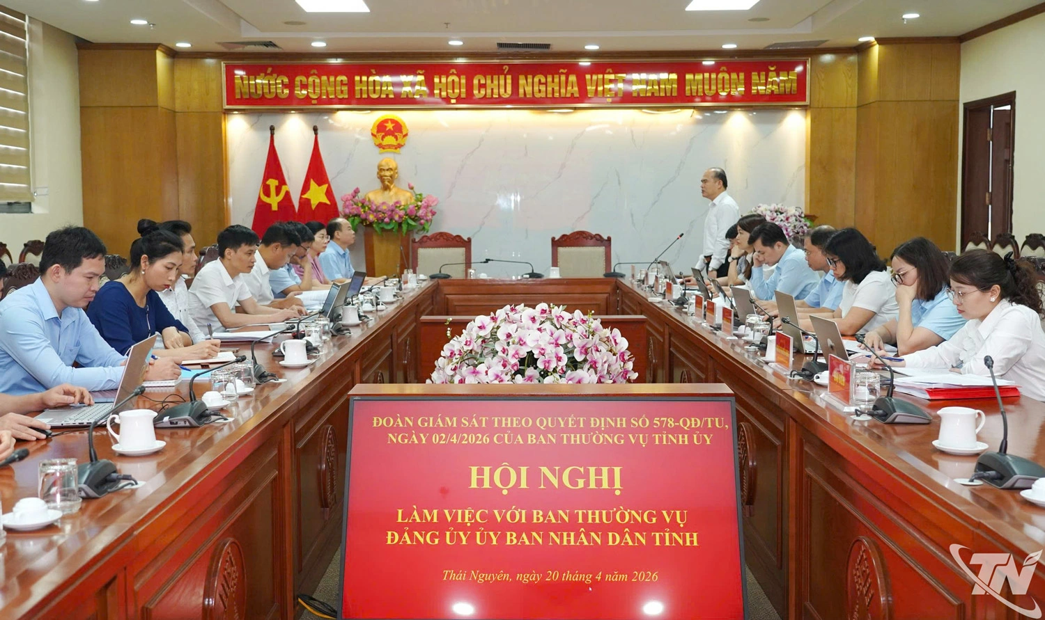 Quang cảnh buổi giám sát.