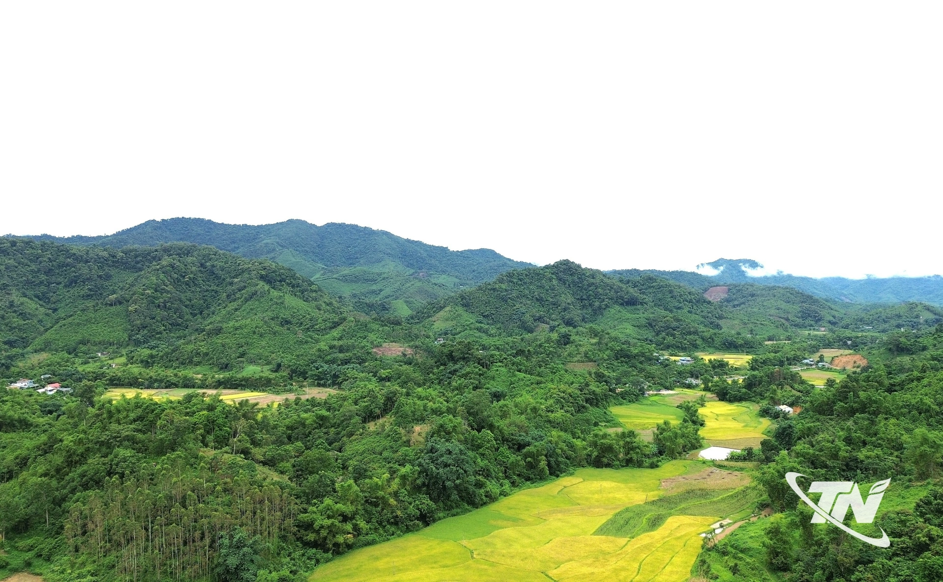 Những cánh rừng xanh ngắt được người dân xã Nà Phặc bảo vệ và chăm sóc đồng thời khai thác hiệu quả kinh tế dưới tán rừng.