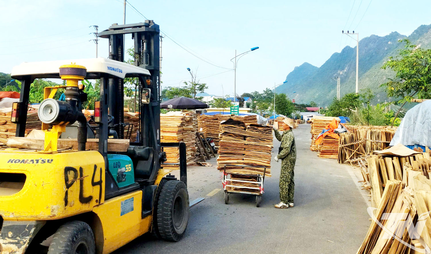 Các HTX, cơ sở chế biến lâm sản ở xã Định Hóa phát triển khá mạnh, tạo việc làm cho nhiều lao động địa phương