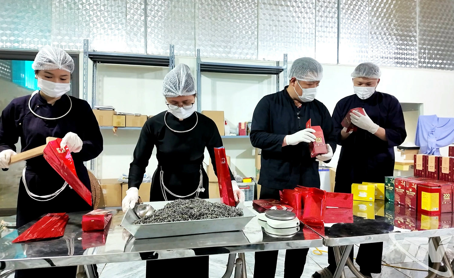 Nhân viên Công ty CP Sachstea (phường Bắc Kạn) tập trung đóng gói sản phẩm chè Shan tuyết phục vụ thị trường dịp Tết.