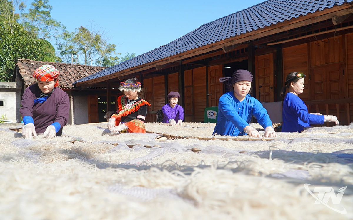 Bà con tất bật trong không khí lao động những ngày cuối năm, khi nhu cầu miến dong tăng mạnh.
