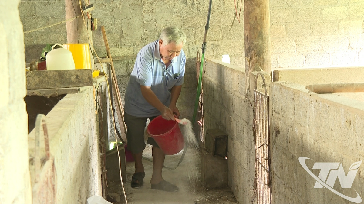 Người chăn nuôi xã Tân Kỳ phun tiêu độc khử trùng chuồng trại trước khi tái đàn lợn.