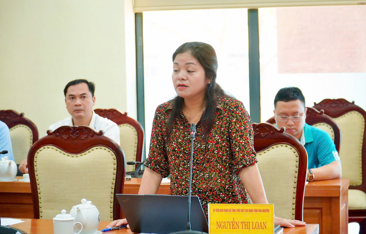 Đồng chí Nguyễn Thị Loan, Phó Chủ tịch UBND tỉnh, phát biểu tại Hội nghị.