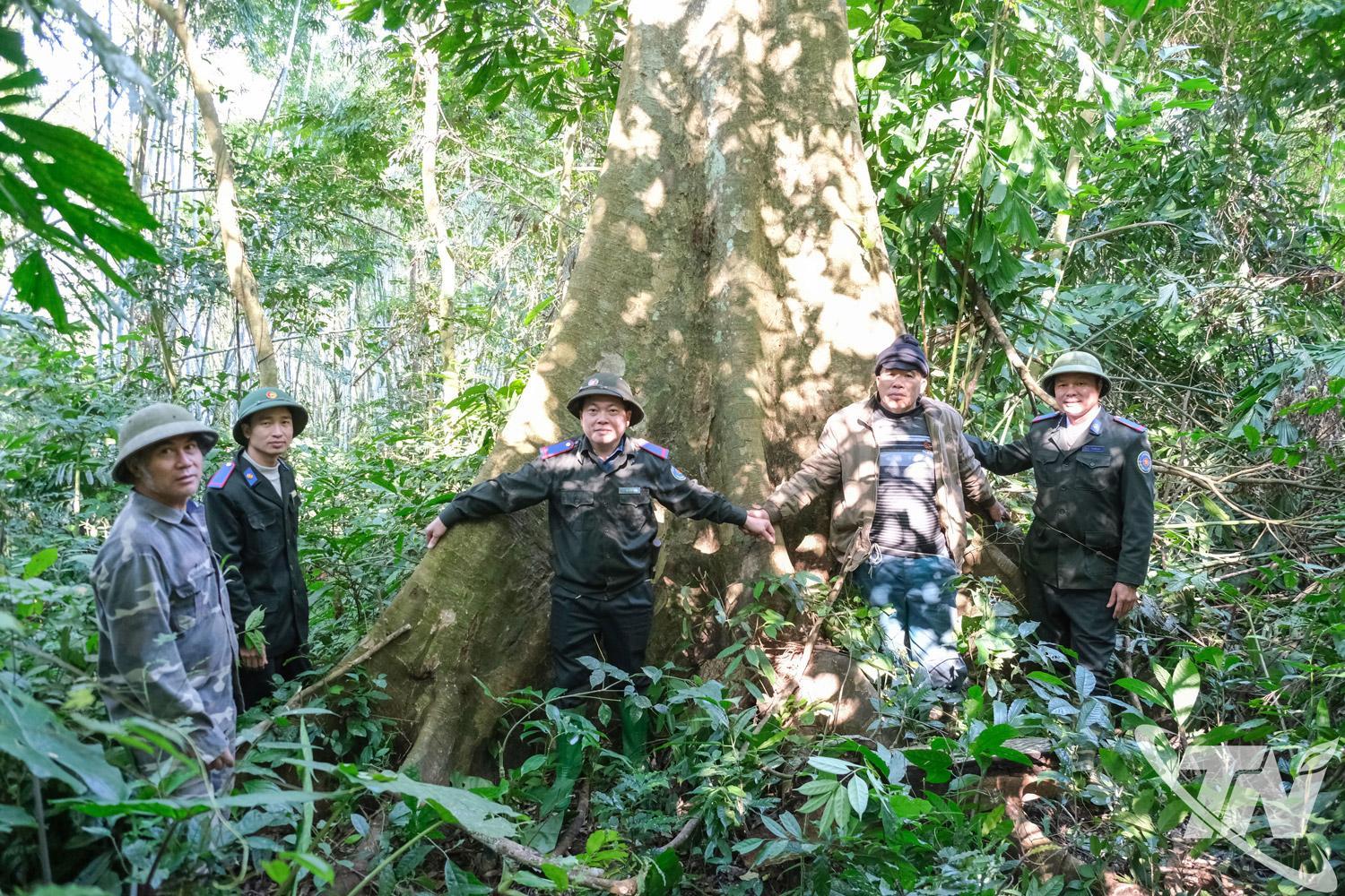 Cán bộ Ban Quản lý rừng đặc dụng, phòng hộ tỉnh Thái Nguyên và người dân bên cây cổ thụ trong Khu dự trữ thiên nhiên Thần Sa - Phượng Hoàng.