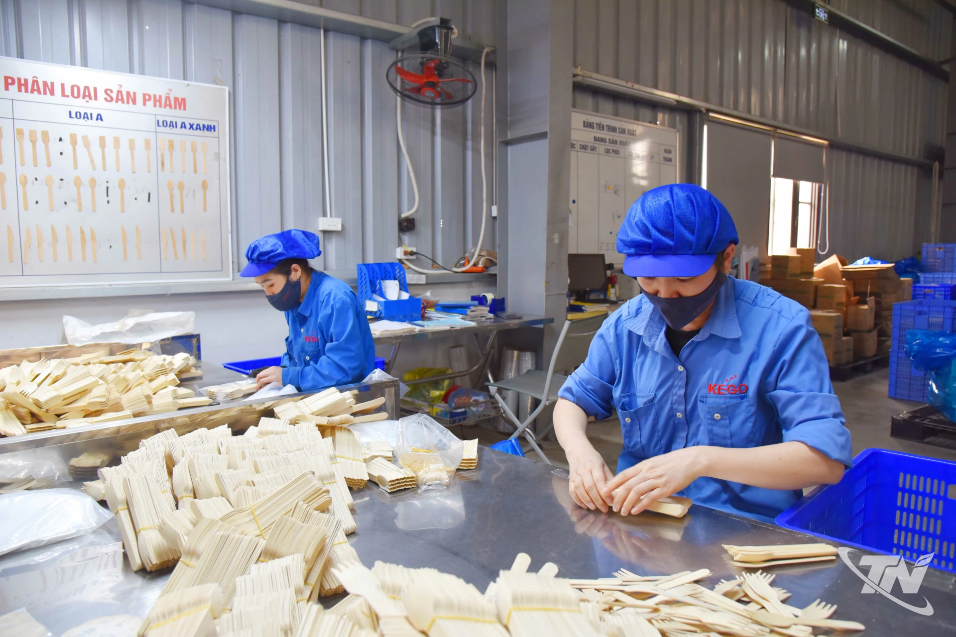 Sản xuất dao, muỗng, nĩa gỗ tại Chi nhánh Công ty TNHH Kẻ Gỗ Bắc Kạn (Khu công nghiệp Thanh Bình, xã Thanh Thịnh).
