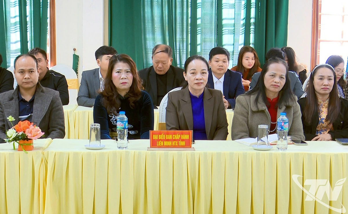 Đại diện các tổ chức kinh tế tập thể, hợp tác xã tham gia hội nghị đối thoại