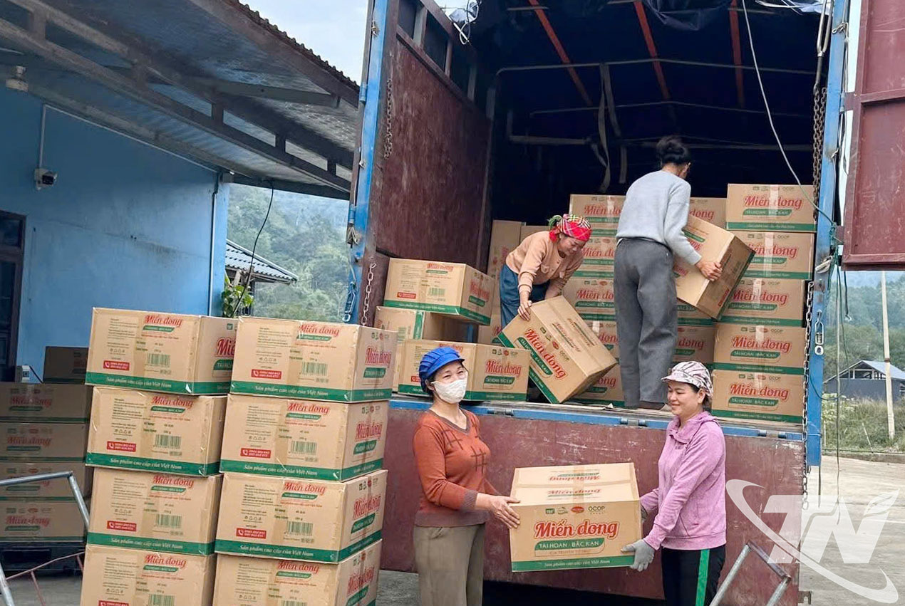 HTX T&agrave;i Hoan đ&oacute;ng h&agrave;ng xuất khẩu miến dong sang Cộng h&ograve;a&nbsp;S&eacute;c.