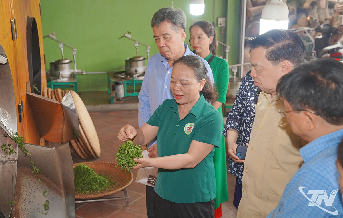 Đoàn công tác Giải thưởng Nhân tài Đất Việt 2025 - giải thưởng “Khuyến học - Tự học thành tài” tìm hiểu thực tế về sản phẩm ống diệt men chè.