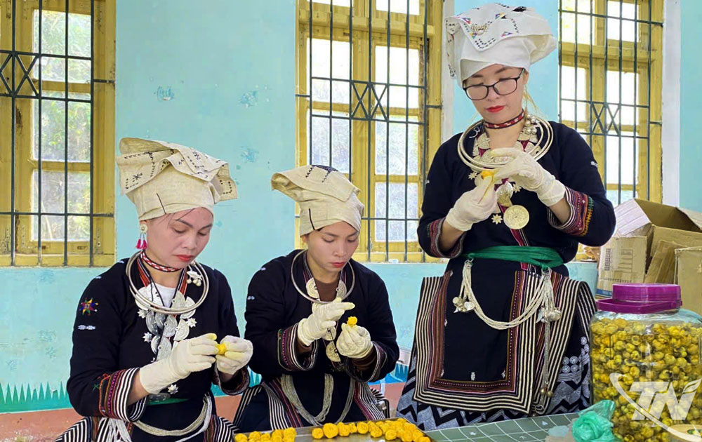 Dương Kh&aacute;nh Ly