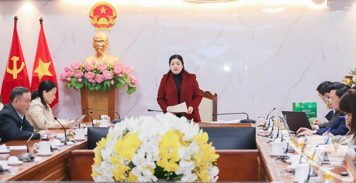 Đồng chí Nguyễn Thị Loan, Phó Chủ tịch UBND tỉnh, chủ trì cuộc họp