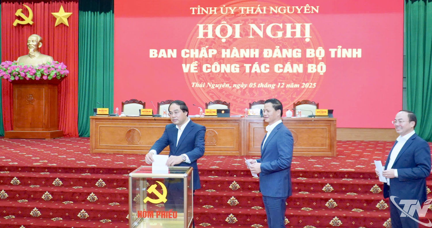 bỏ phiếu bầu bổ sung ủy viên Ban Chấp hành Đảng bộ tỉnh khoá I, nhiệm kỳ 2025-2030.