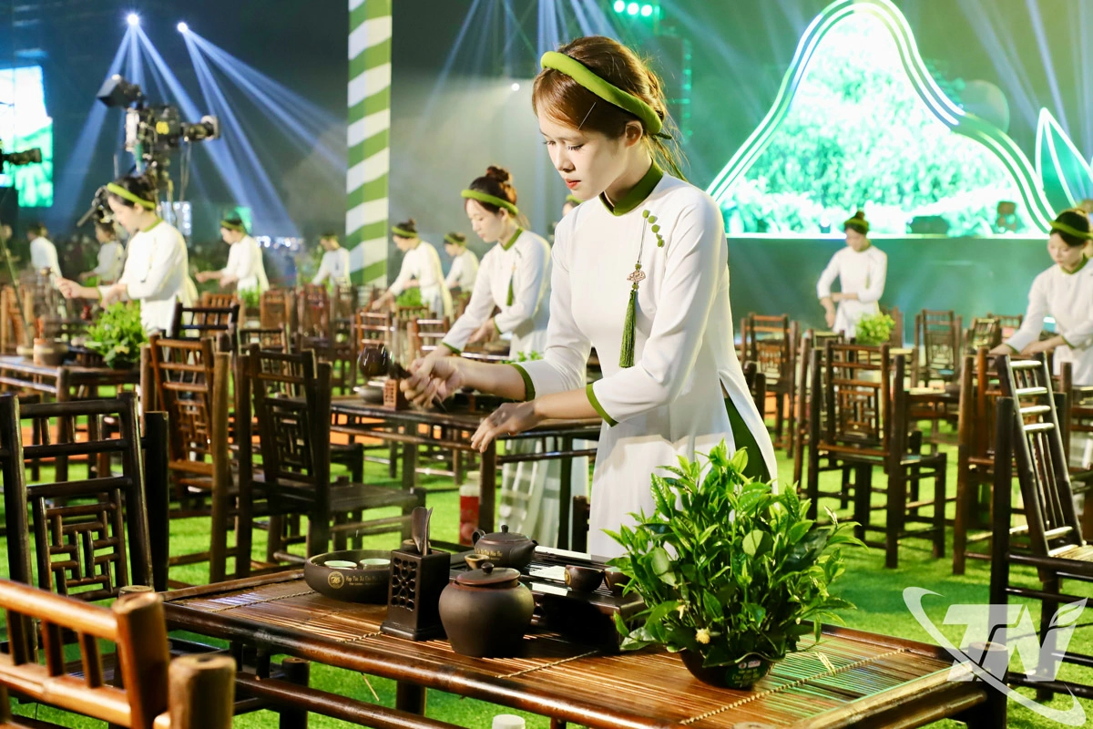 Trình diễn pha trà.