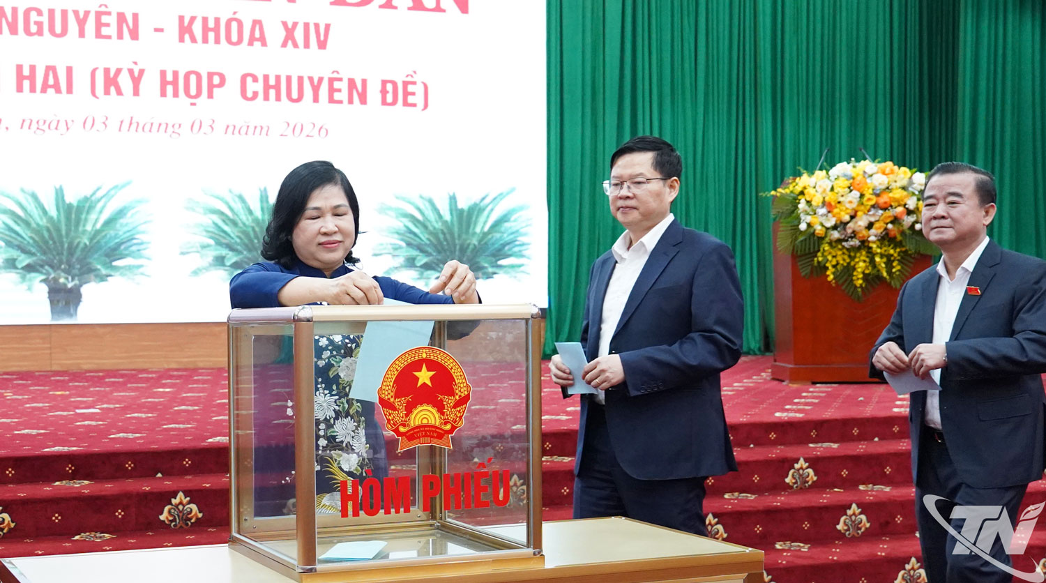 Các đại biểu bỏ phiếu tiến hành quy trình kiện toàn chức danh Phó Chủ tịch UBND tỉnh.