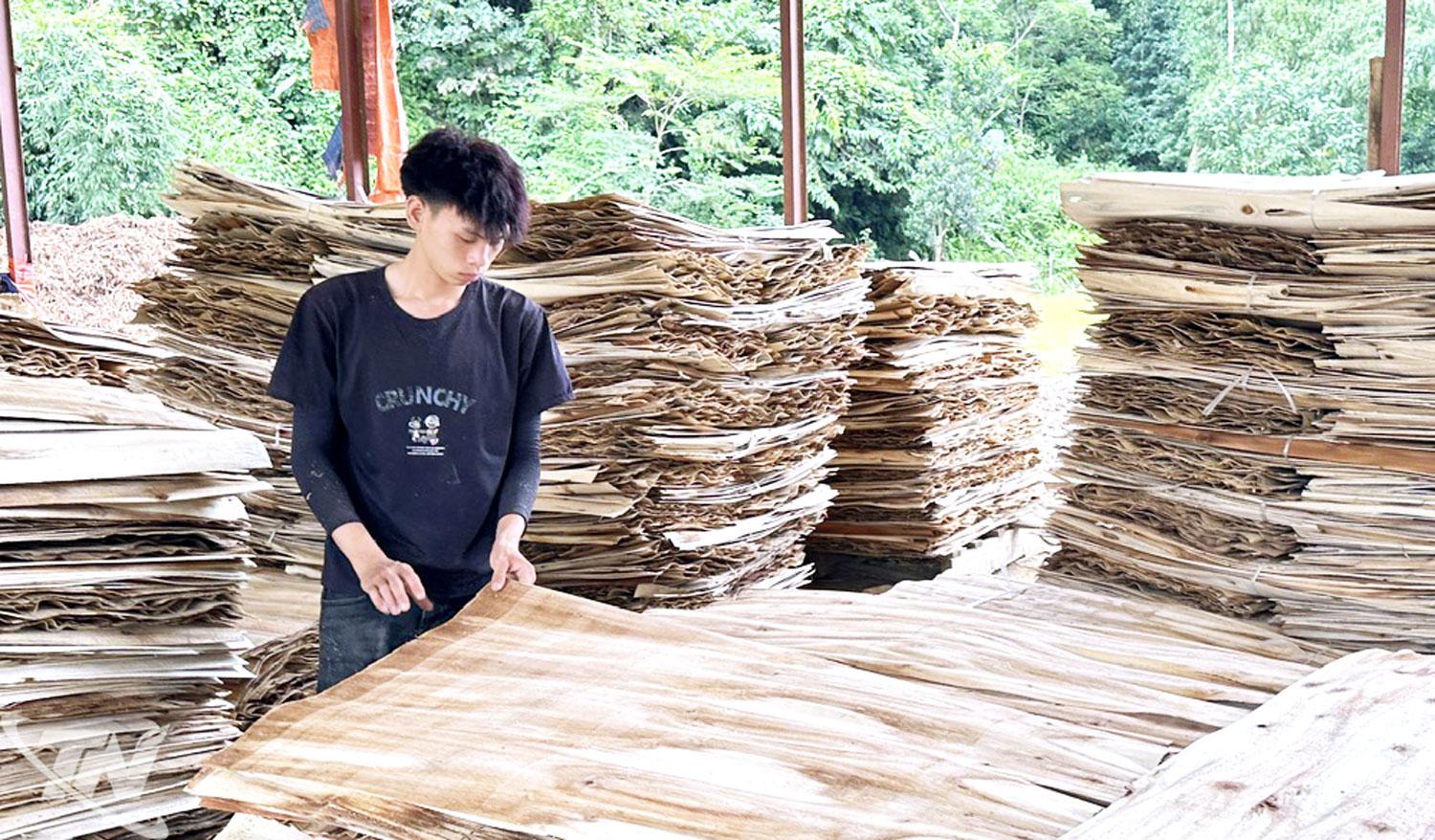 Xưởng chế biến gỗ tại trung tâm xã Bằng Thành hàng năm tiêu thụ một lượng lớn gỗ rừng trồng của người dân địa phương. Ảnh: T.L
