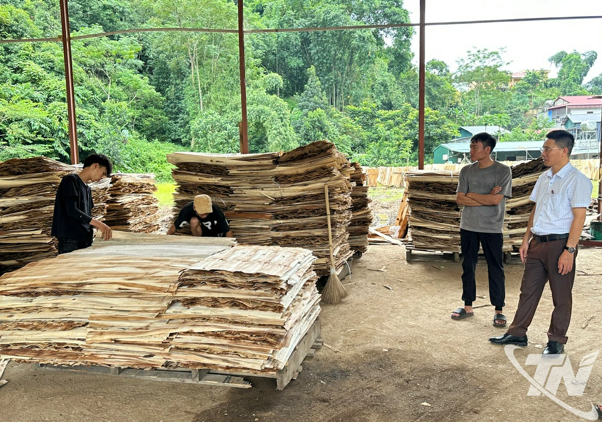 Cơ sở chế biến gỗ của Công ty TNHH An Thành Huy Hà Nội đặt tại xã Bằng Thành