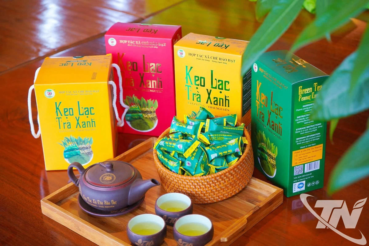     Sản phẩm kẹo lạc tr&agrave; xanh l&agrave; một trong rất nhiều sản phẩm chế biến từ ch&egrave; của HTX T&acirc;n Cương Xanh.