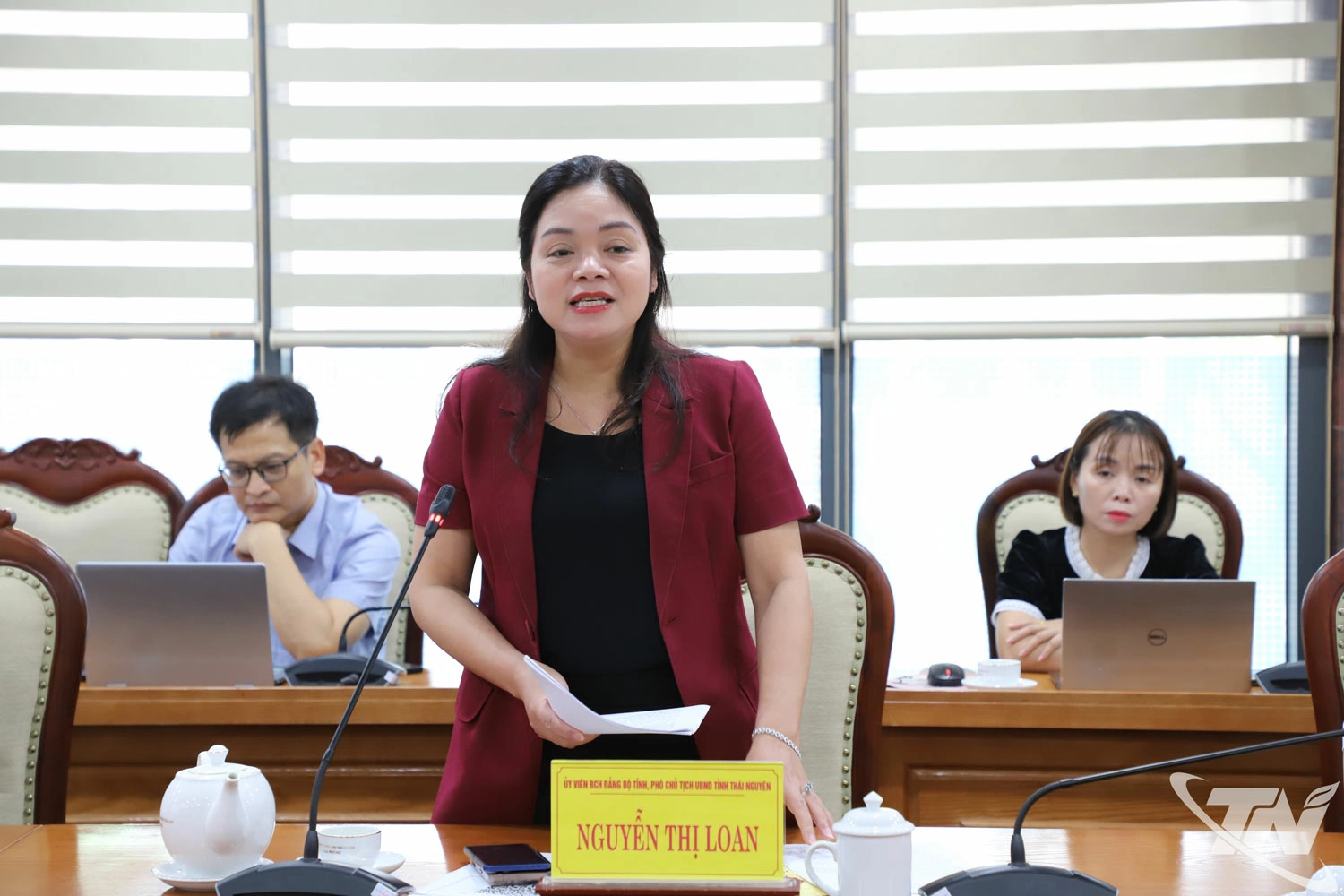 Đồng chí Phó Chủ tịch UBND tỉnh Thái Nguyên Nguyễn Thị Loan phát biểu.