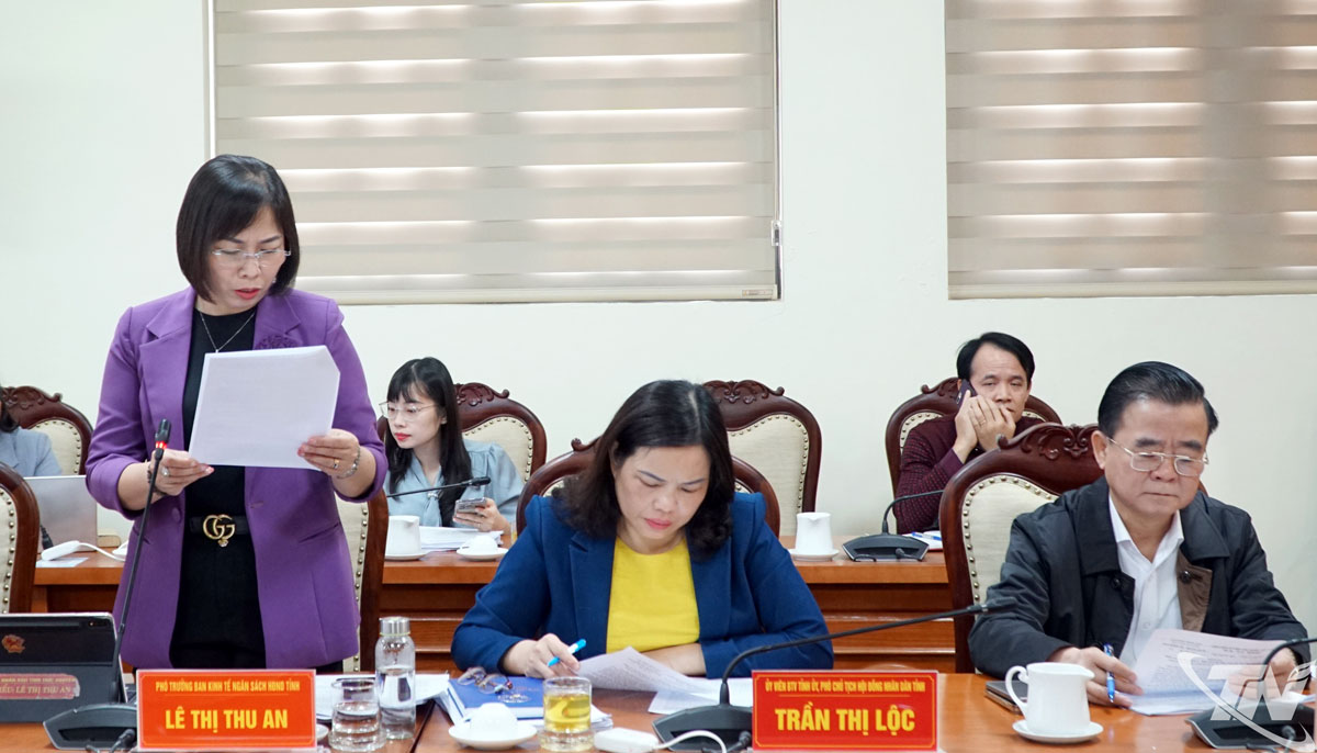 Đại diện Ban Kinh tế - Ng&acirc;n s&aacute;ch, HĐND tỉnh b&aacute;o c&aacute;o tại hội nghị.