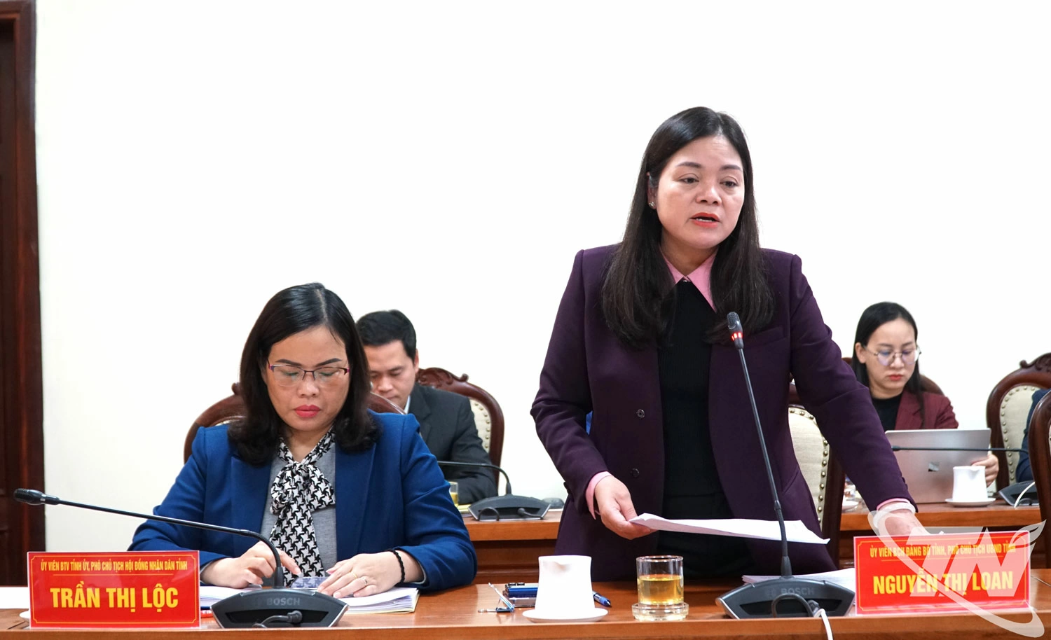 Đồng chí Phó Chủ tịch UBND tỉnh Nguyễn Thị Loan phát biểu tại Hội nghị.