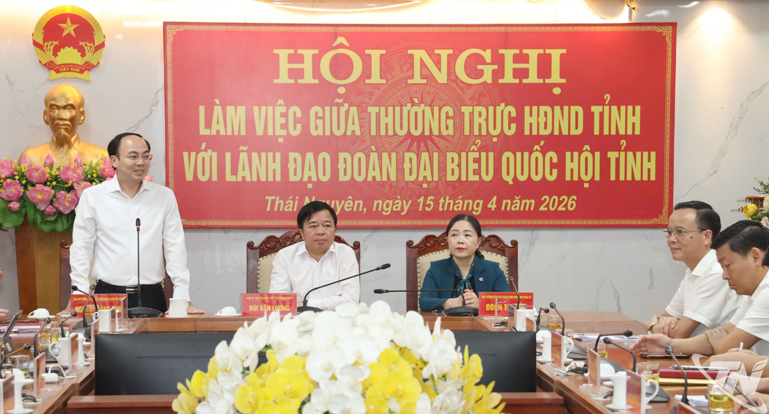 Đồng chí Nguyễn Đăng Bình, Phó Bí thư Thường trực Tỉnh ủy, Trưởng đoàn Đại biểu Quốc hội tỉnh khóa XVI phát biểu tại hội nghị