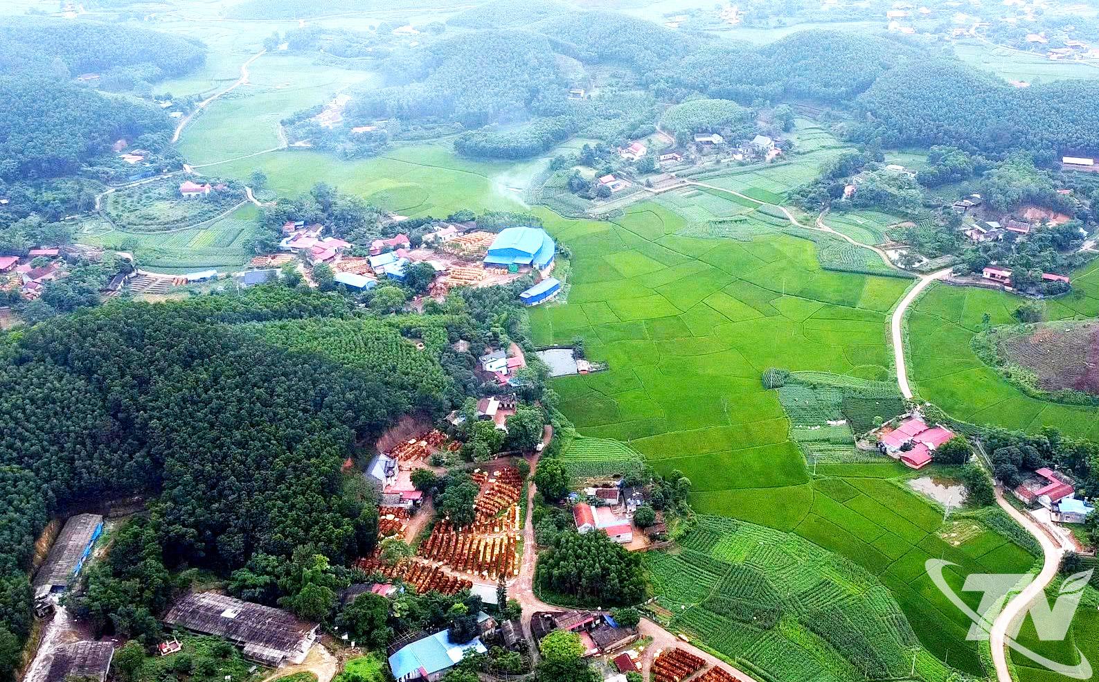 Gắn đời sống người dân với phát triển kinh tế rừng chính là điều kiện tiên quyết để bảo vệ rừng bền vững.