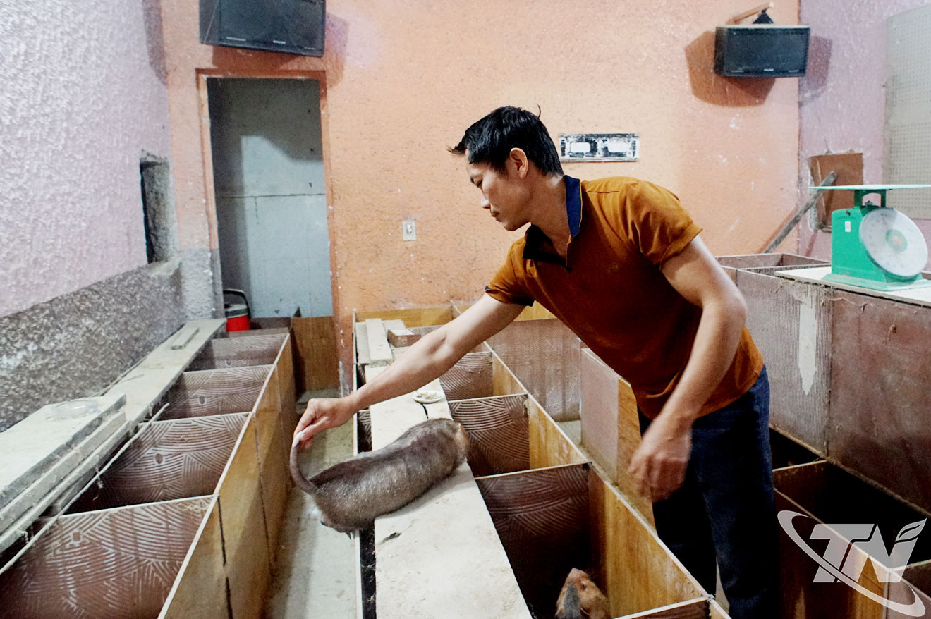 Anh H&agrave; Văn Bến kiểm tra sức khỏe của d&uacute;i trưởng th&agrave;nh.