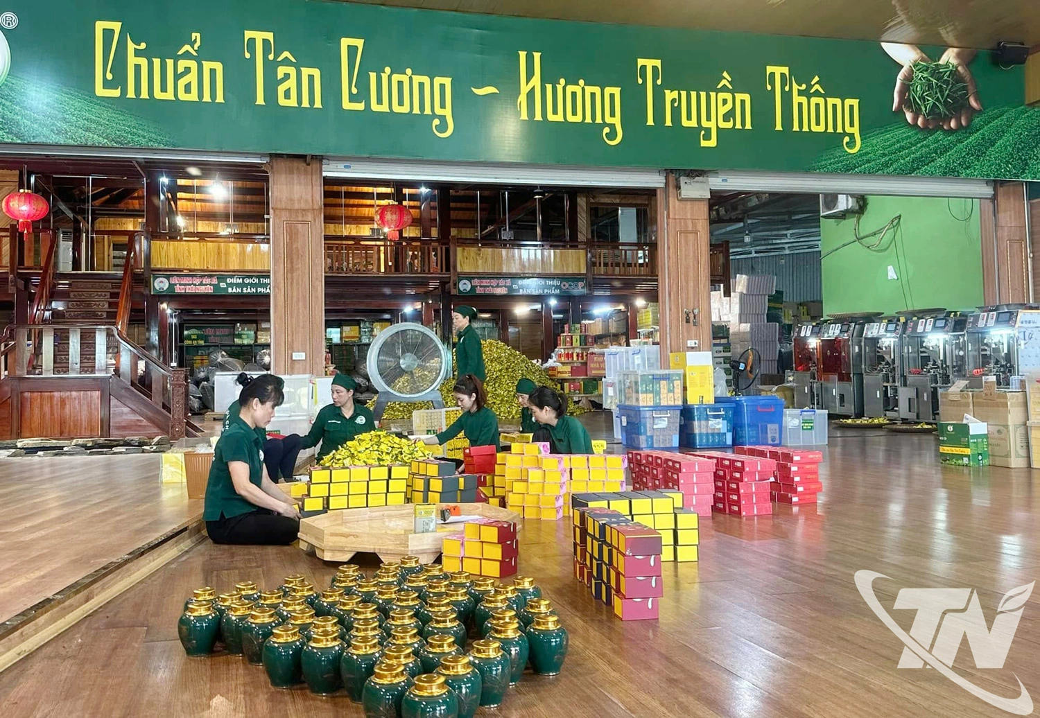 Chè an toàn, sản xuất theo hướng hữu cơ của vùng đất Tân Cương được nhiều người tiêu dùng ưa chuộng.