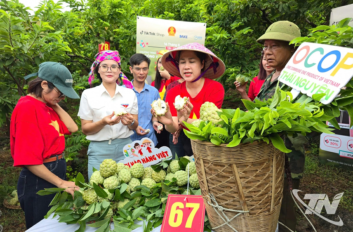 Các phiên Livesyteam tại Võ Nhai, La Hiên đã thu hút hơn 10 triệu lượt người tiếp cận.
