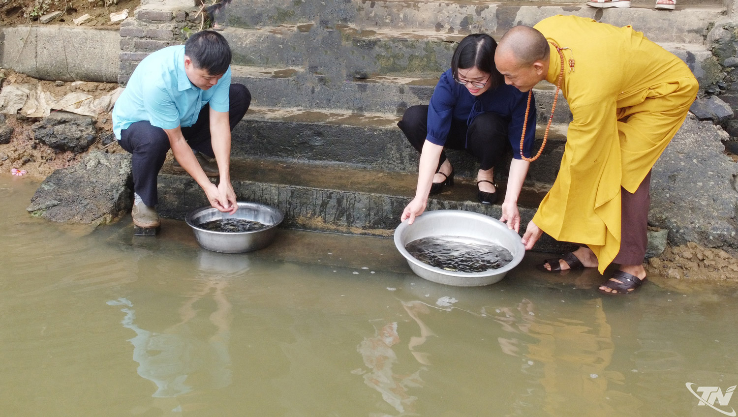 Hoạt động thả cá giống trên Sông Cầu.