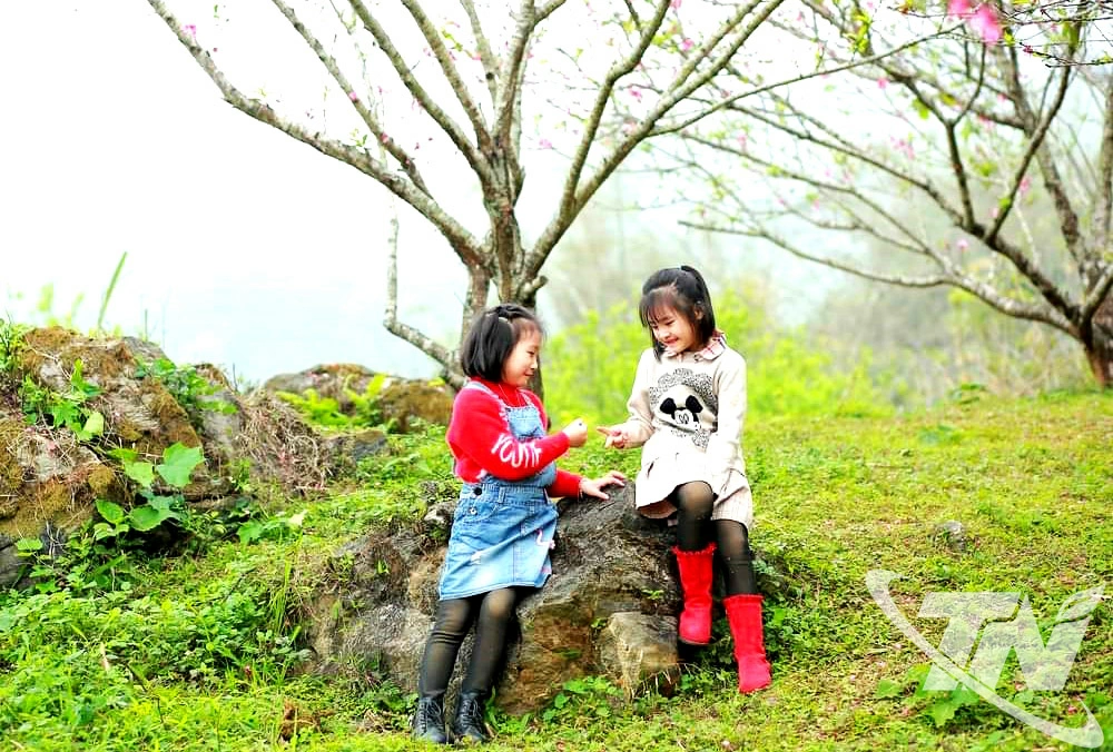 Những vườn đào ở xã Ngân Sơn là địa điểm lý tưởng để trẻ em trải nghiệm, vui xuân.