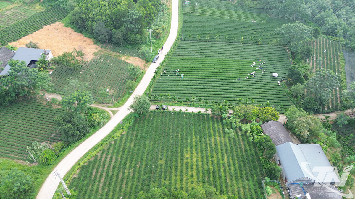 Một góc xã Vô Tranh.