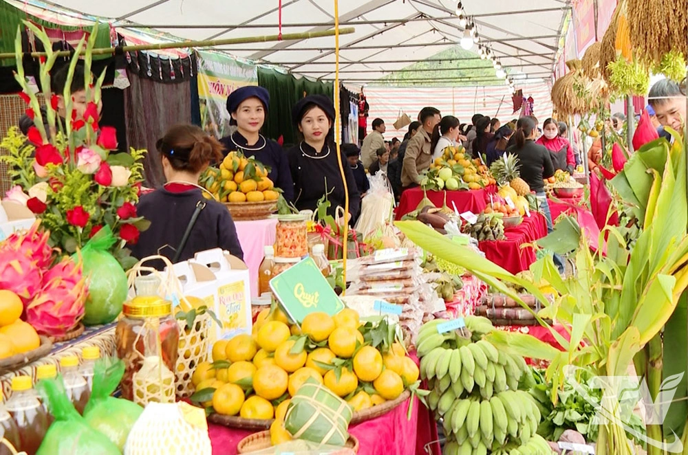 Ng&agrave;y hội cam, qu&yacute;t được x&atilde; Bạch Th&ocirc;ng tổ chức nhằm quảng b&aacute; c&aacute;c loại n&ocirc;ng sản của địa phương.
