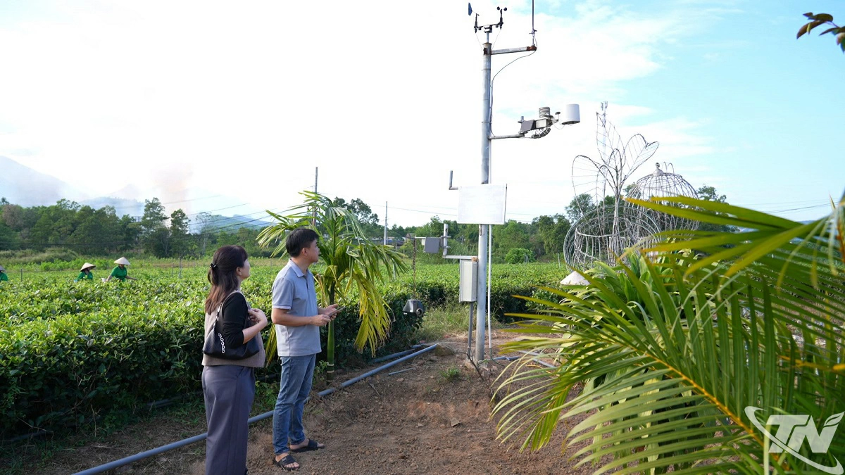 Trạm quan trắc thời tiết th&ocirc;ng minh được lắp đặt tại v&ugrave;ng nguy&ecirc;n liệu phục vụ sản xuất theo ti&ecirc;u chuẩn VietGAP.