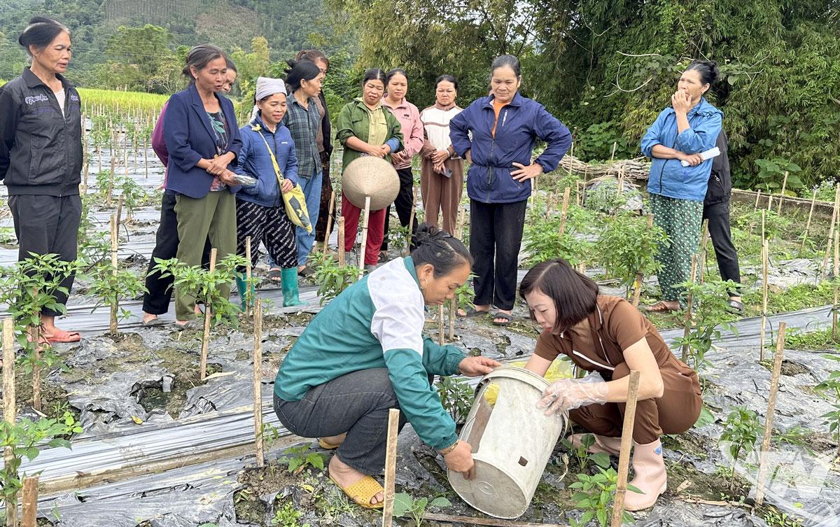 Cán bộ Trung tâm Khuyến nông và Môi trường tỉnh Thái Nguyên hướng dẫn bà con xã Tân Kỳ cách sử dụng men vi sinh.