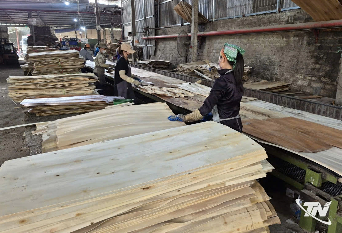 Hợp tác xã Dịch vụ Vận tải Chuyên Đức (xã Trung Hội) tạo nhiều việc làm cho người lao động nhờ nguồn vốn vay từ ngân hàng.