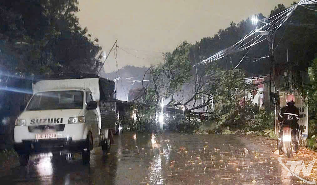 Trận mưa giông