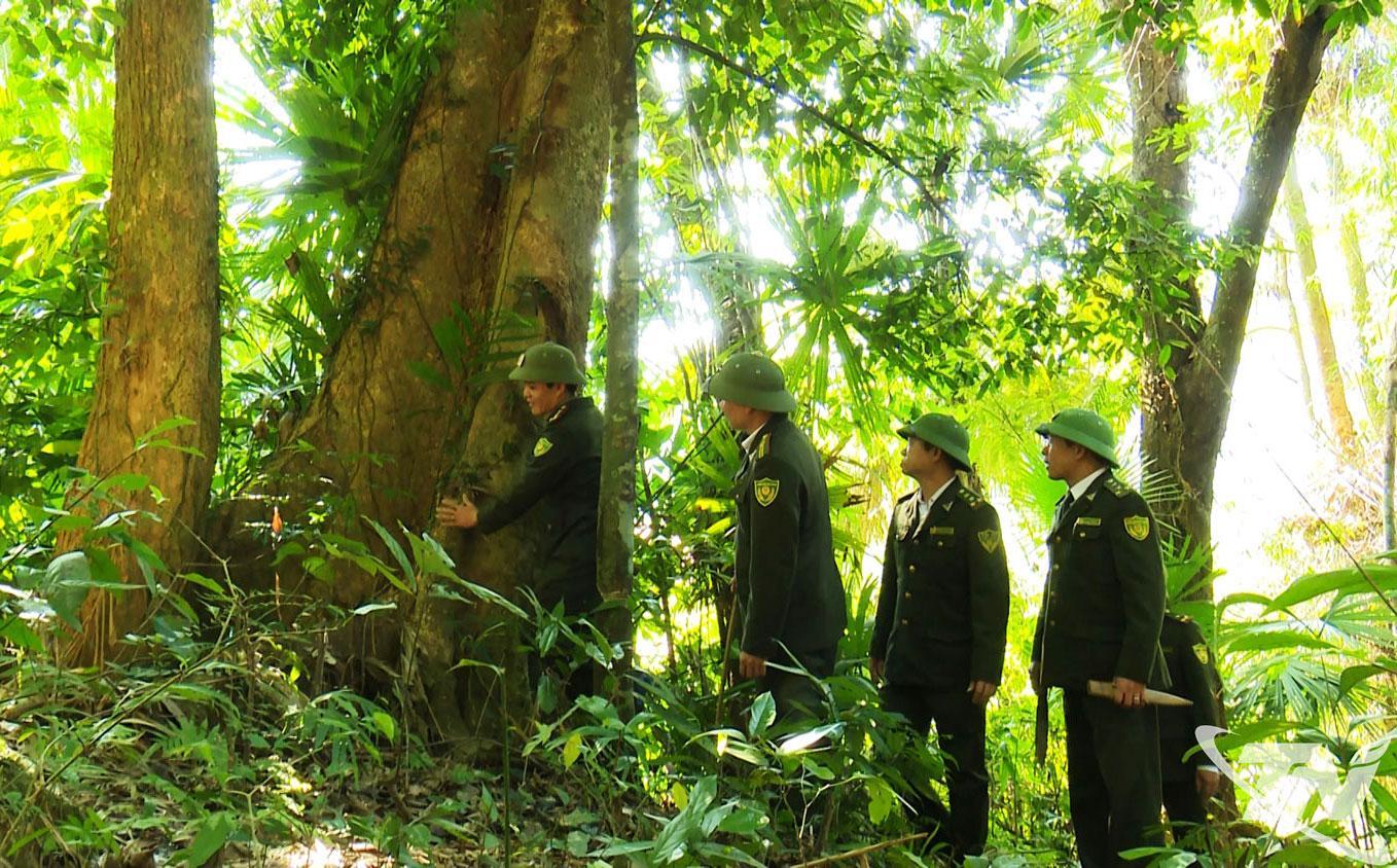 Cán bộ Kiểm lâm tỉnh Thái Nguyên tuần tra rừng.