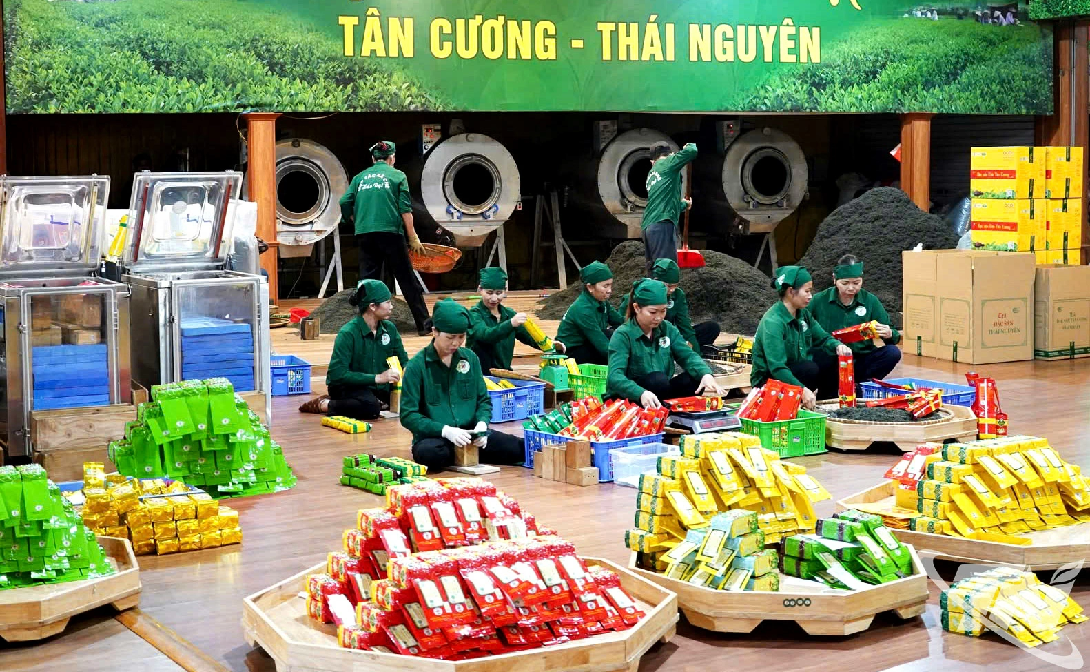 HTX chè Hảo Đạt (xã Tân Cương) hiện có 2 sản phẩm đạt OCOP 5 sao cấp quốc gia, 1 sản phẩm đạt 4 sao. HTX luôn chú trọng liên kết với các bạn hàng, xây dựng hệ thống đại lý và kênh phân phối ổn định cho các sản phẩm chè.