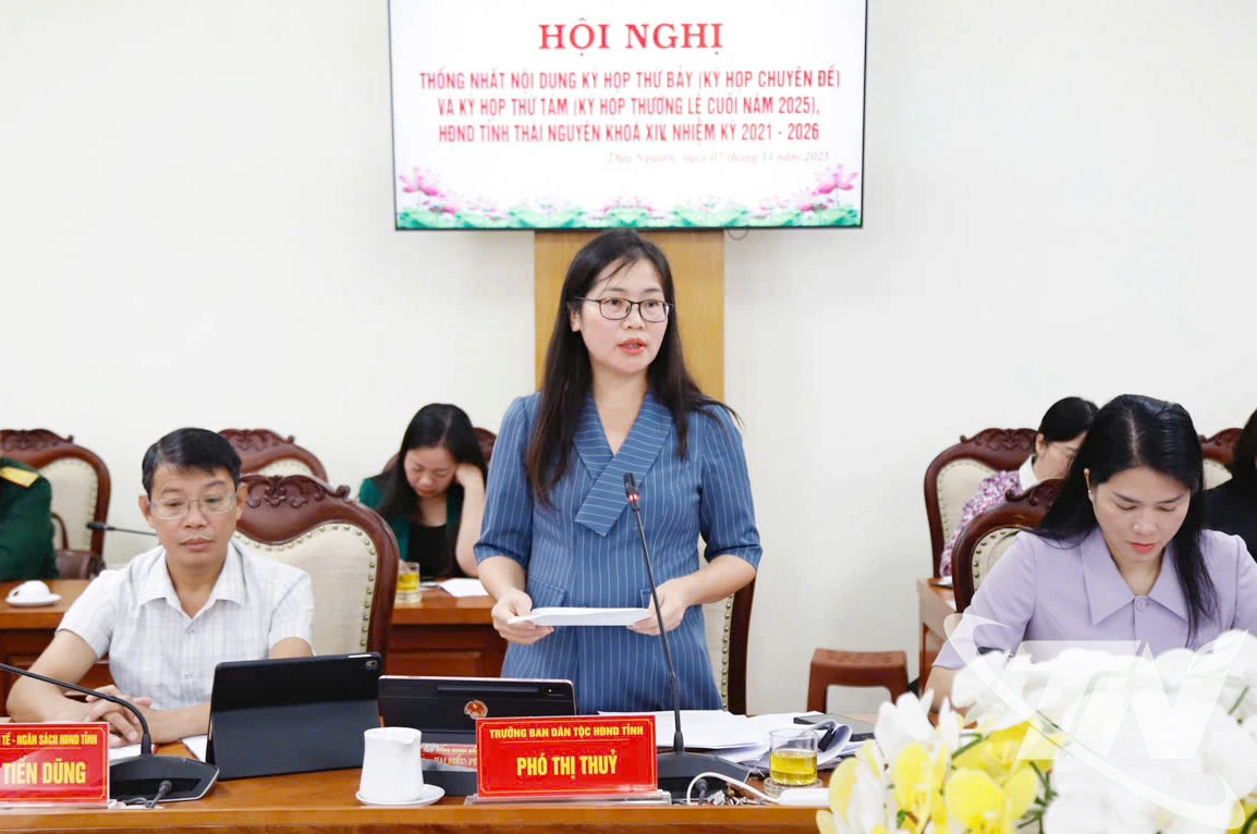 Các ý kiến thảo luận vào nội dung, chương trình Kỳ họp