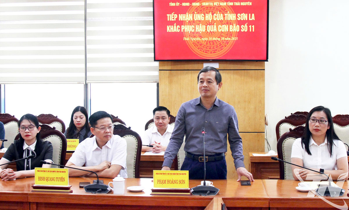 Đồng chí Phạm Hoàng Sơn, Phó Bí thư Tỉnh ủy, Chủ tịch UBND tỉnh phát biểu tại buổi tiếp nhận.