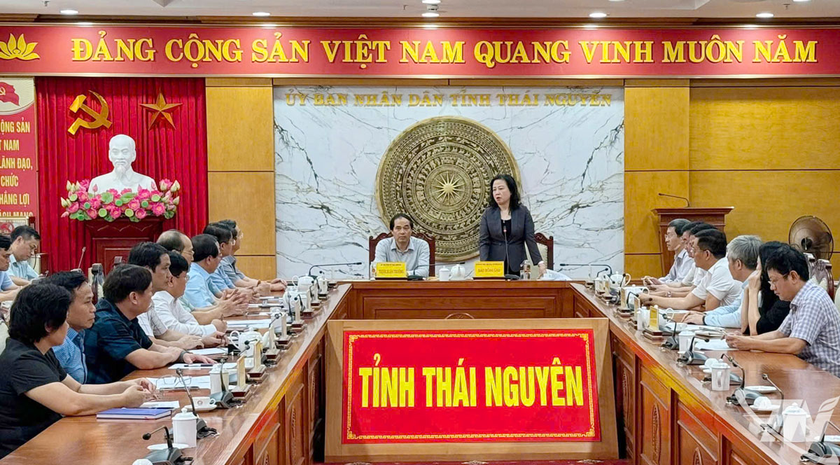 Bộ trưởng Đào Hồng Lan phát biểu tại buổi làm việc