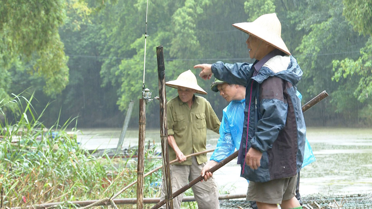 Tập trung  ứng phó với bão, giúp giữ sinh kế của người nuôi cá lồng trên sông Năng.