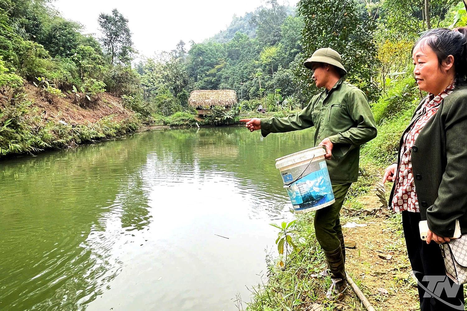 Mô hình nuôi cá trắm cỏ giúp gia đình anh Vũ Văn Thắng, ở tổ 18 (phường Bắc Kạn) có nguồn thu nhập ổn định, từng bước nâng cao đời sống.