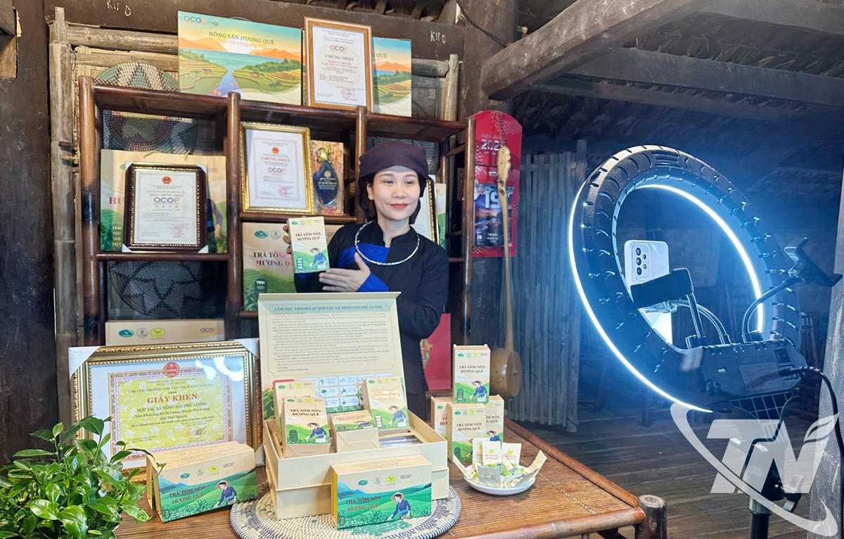 HTX N&ocirc;ng sản Ph&uacute; Lương tổ chức livestream b&aacute;n h&agrave;ng tr&ecirc;n nền tảng số, g&oacute;p phần mở rộng thị trường ti&ecirc;u thụ v&agrave; n&acirc;ng cao doanh thu.