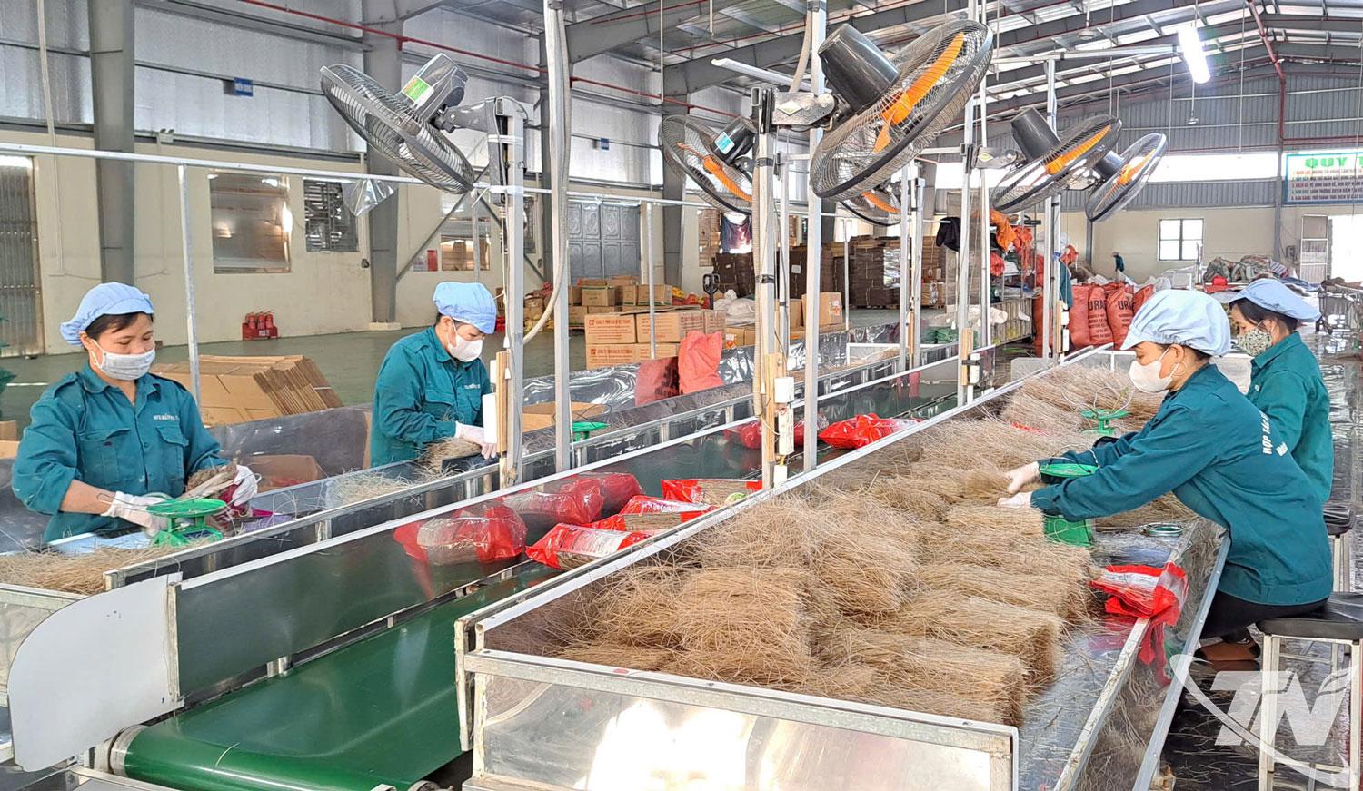 Đ&oacute;ng g&oacute;i sản phẩm miến Việt Cường.