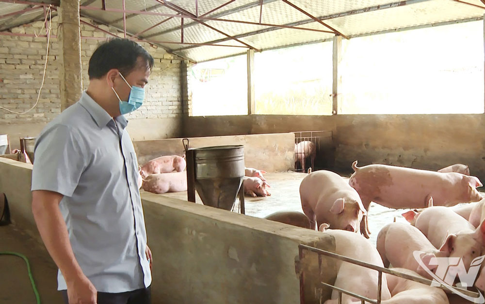 Thành viên Đoàn công tác kiểm tra tại một số cơ sở chăn nuôi bị ảnh hưởng do lũ lụt