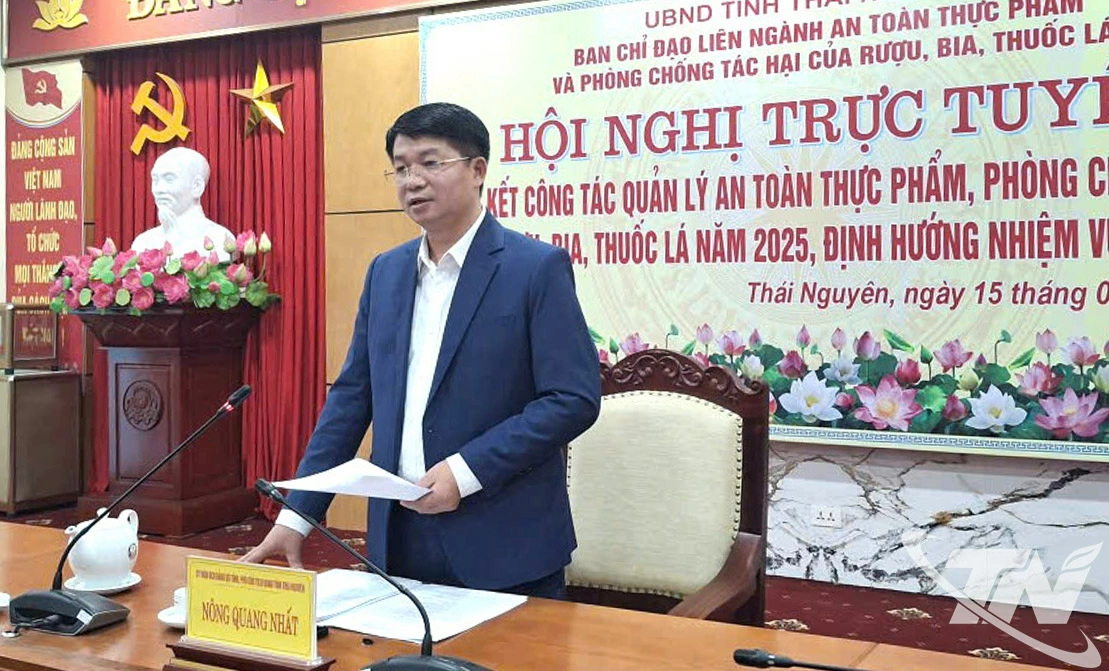 Đồng ch&iacute; N&ocirc;ng Quang Nhất, Ph&oacute; Chủ tịch UBND tỉnh ph&aacute;t biểu tại Hội nghị.