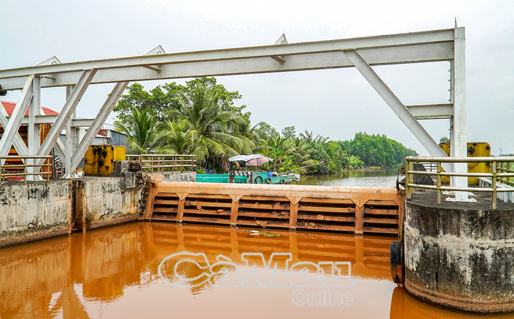 Cống T21 một trong số 89 cống, đập trong l&acirc;m phần đ&atilde; được đ&oacute;ng để giữ nước ph&ograve;ng ch&aacute;y chữa ch&aacute;y cũng như ngăn mặn.