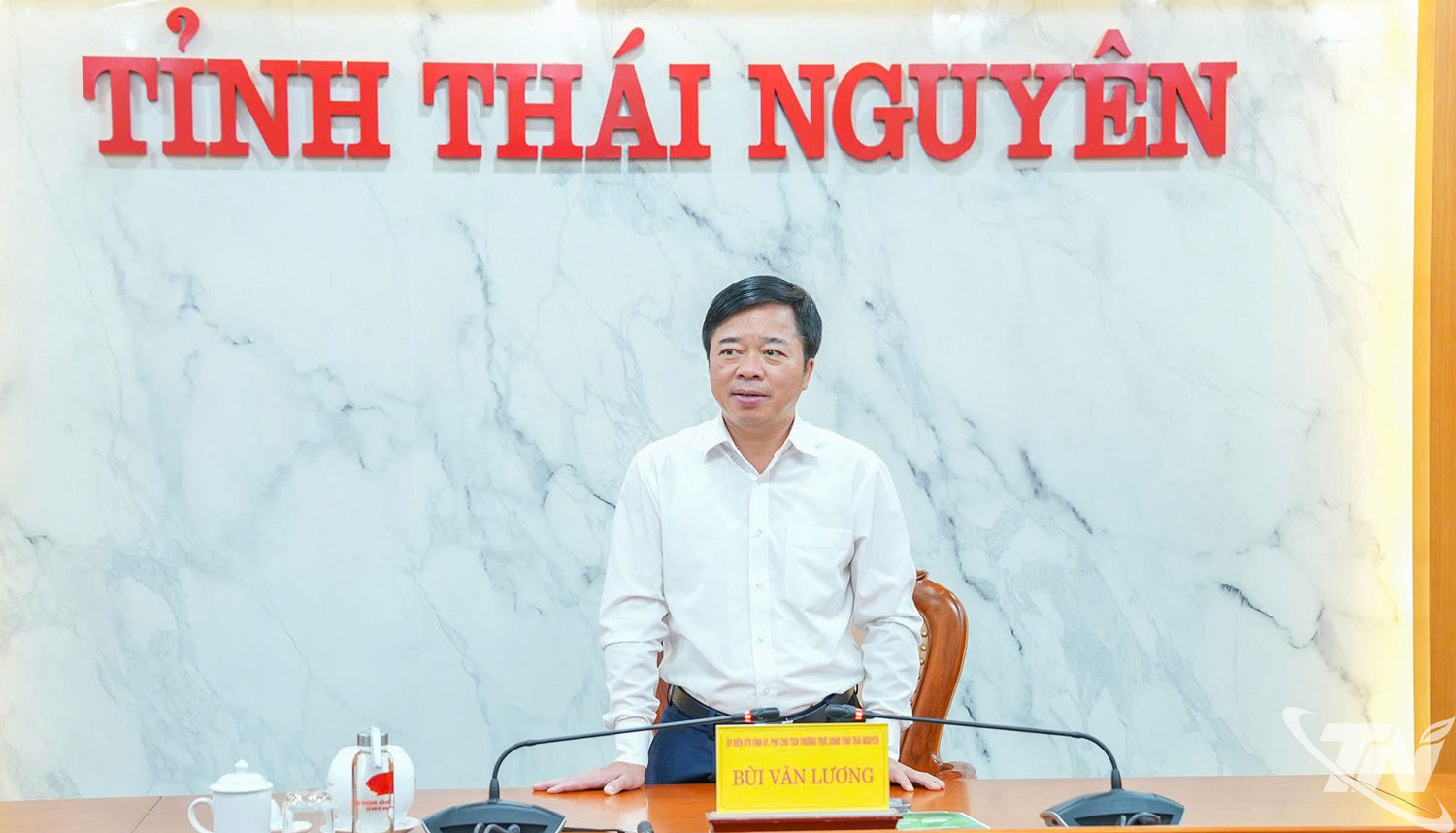 Đồng ch&iacute; Ph&oacute; Chủ tịch Thường trực UBND tỉnh