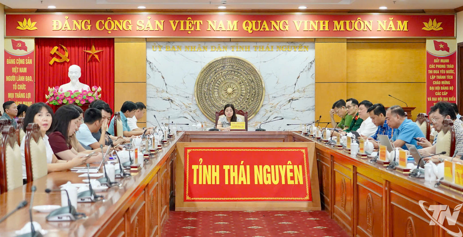 Đồng chí Phó Chủ tịch UBND tỉnh Nguyễn Thị Loan chủ trì tại điểm cầu tỉnh Thái Nguyên